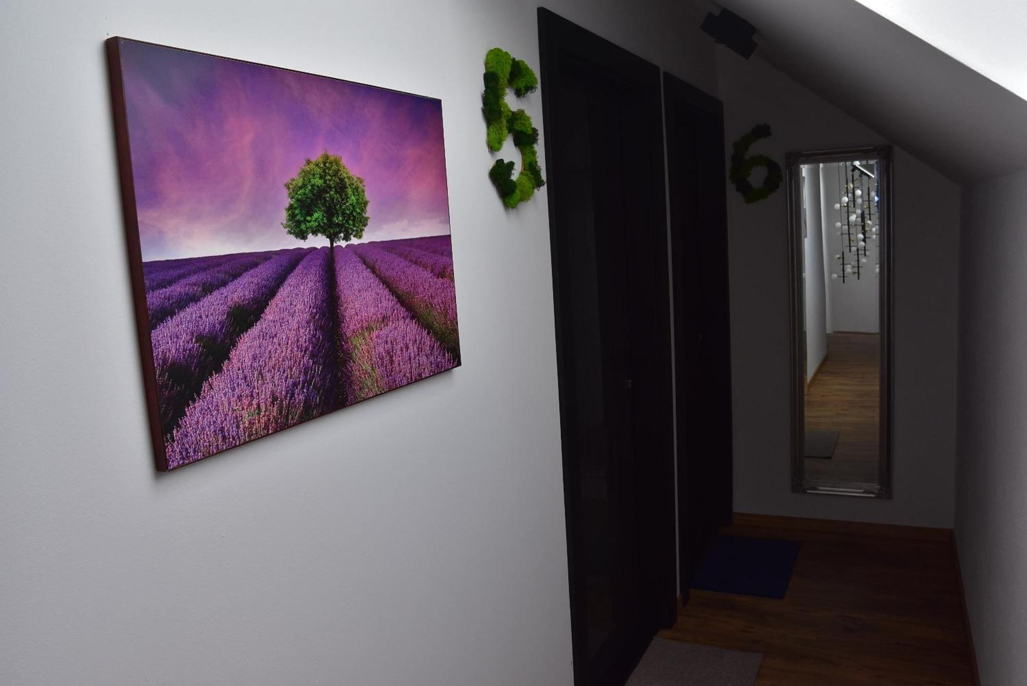 Apartmany Zakovce & Spa Vel'ka Lomnica Exterior foto